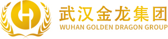 武汉金龙集团
